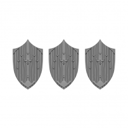 Northern Kingdom Shield Set