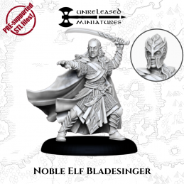 Noble Elf Bladesinger (STL)