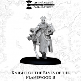 Knight of the Elves of the...