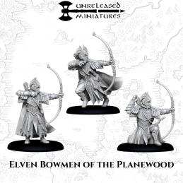 Elven Bowmen of the Planewood