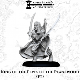 King of the Elves of the...